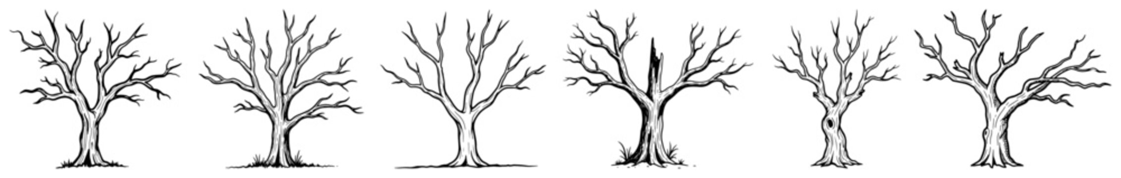Set of bare and dead trees without leaves concept of winter nature and scary forest vector illustration