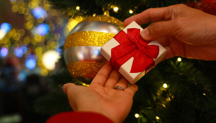 A Moment of  the couple with Christmas Gift Exchange by the Tree