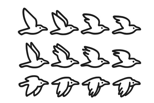Twelve simple line art drawings of a bird flapping wings in flight sequence
