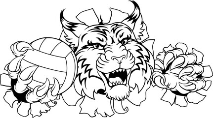 A wildcat cougar lynx lion volleyball animal sports mascot holding a volley ball in his claw