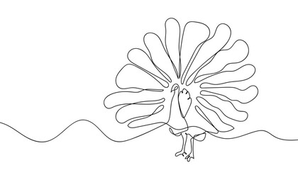 A peacock displaying its tail feathers in a continuous line. Single line drawing vector illustration. Editable stroke. © Proongnee
