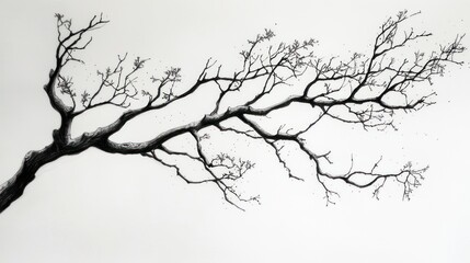 Monochrome tree branch silhouette against a bright white background.