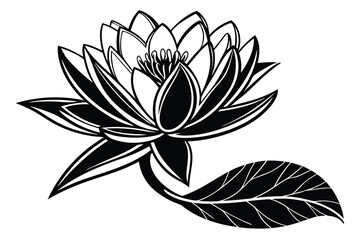 Vector illustration of lotus and lily flowers with leaves