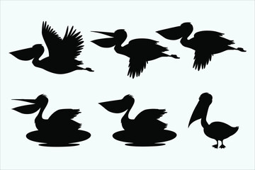 Pelican silhouettes. Large water birds in flight and on water. Characteristic large beaks