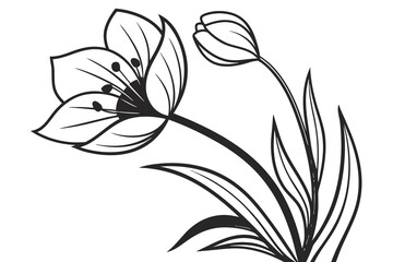 black and white lily flower illustration with leaves and branches