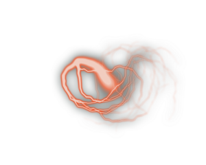 Soft glowing orange energy swirl with neon plasma lines forming a dynamic circular motion, ideal for sci-fi effects, digital art compositions, and futuristic abstract design elements.