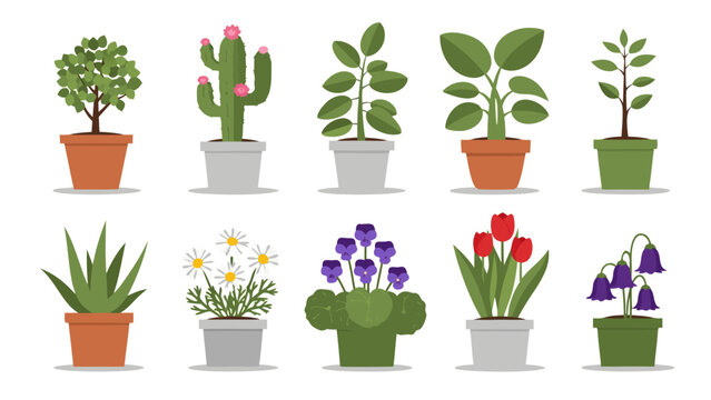 A collection of various potted house plants and flowers, including a tree, cactus, aloe, daisies, tulips, and bellflowers, in a flat vector illustration style.