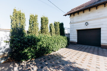 refined house front with majestic trees enhancing privacy and curb attractiveness in autumn sunlight