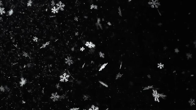 Snowflakes gently falling around, creating a serene winter scene from a direct viewpoint.