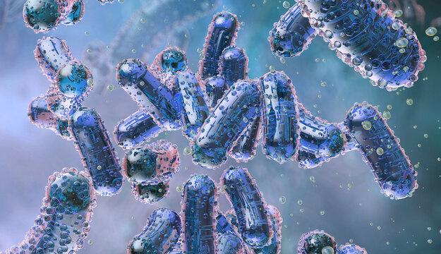 Komagataeibacter xylinus bacteria producing bacterial cellulose nanofibers. 3D illustration of Gluconacetobacter xylinus creating a biofilm mesh for biotechnology, kombucha scoby, medical applications