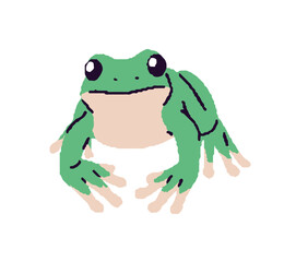 Cute green frog sits. Little tropical froglet with funny muzzle relaxes. Happy amphibian animal of rainforest, jungle and swamp. Tiny froggy. Flat isolated vector illustration on white background