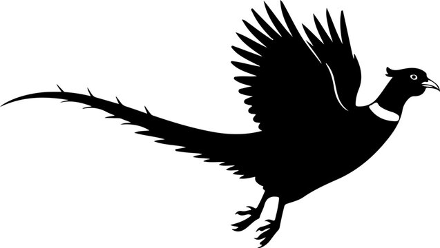 Flying pheasant bird silhouette vector illustration