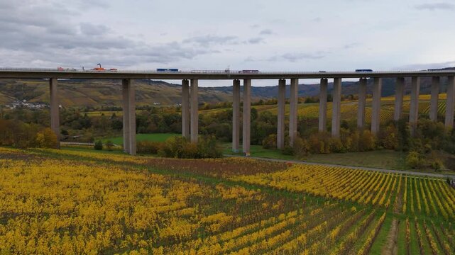 Vineyards in Moselle valley, autumn season, Mosel Viaduct Longuich, bridge of highway crossing river near Trier, aerial view