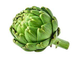  Fresh Whole Green Globe Artichoke, isolated on transparent background” 