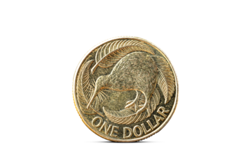 Closeup of One New Zealand Dollar Coin Isolated from Background