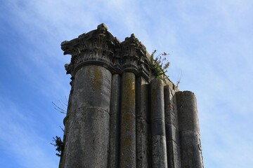 Weathered Roman columns with capitols, once part of a temple, are seen against a blue sky. Plants are growing on the columns, some of which are mismatched.