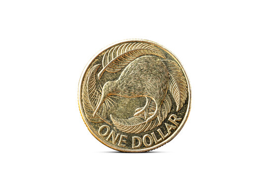Closeup of One New Zealand Dollar Coin Isolated from Background