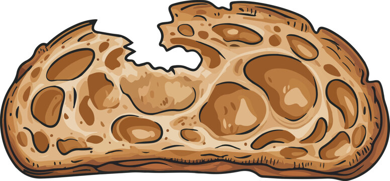 Artisan sourdough bread slice with crispy crust and airy crumb texture isolated vector illustration