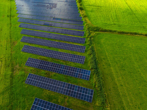 High angle view solar panels in rows on grass area