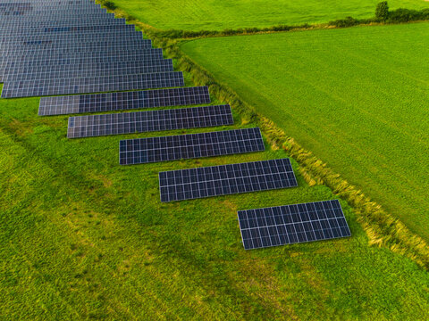 Solar panels in rows on grass