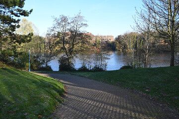 Lake in Autumn in Birmingham, UK, during a November morning. 