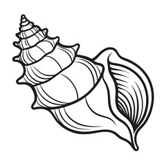A black and white line drawing of a detailed spiral seashell with a pointed apex and flared outer lip.