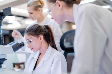 Scientists work in laboratory examining samples with microscope during research session