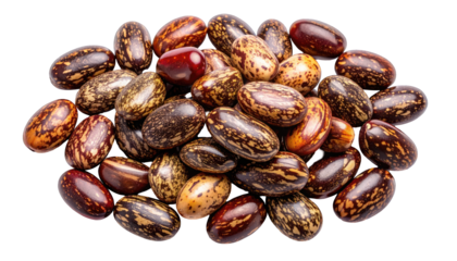 Pile of speckled, shiny seeds in various browns and reds, close-up view