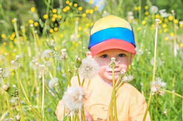 A curious little boy bends down to explore vibrant wildflowers along a path, capturing the innocence of childhood and connection to nature's beauty and diversity