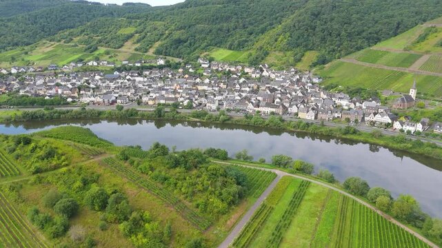Bremm, village in the Moselle Valley, Germany, Mosel river town, Cochem Zell district, vineyards of Calmont, aerial panorama view
