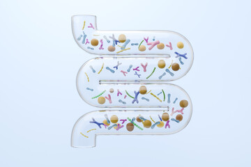 Transparent glass intestine model with probiotics and prebiotics for metabolism concept. 3D illustration