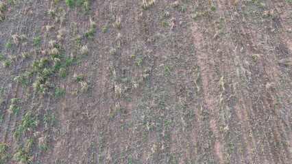 Aerial View of Barren Field with Circular Patterns