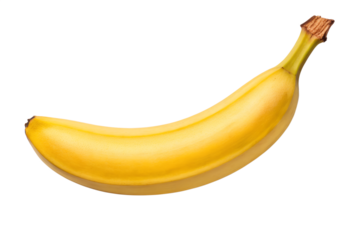 Bunch of fresh ripe yellow bananas, organic tropical fruit snack isolated on white background