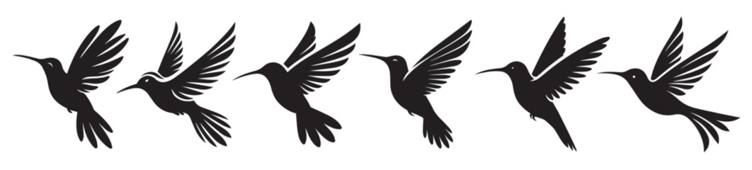 Obraz premium hummingbird black solid silhouette bundle isolated on white