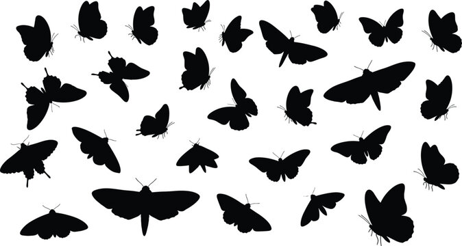 Collection of silhouettes of various moths flying in different directions