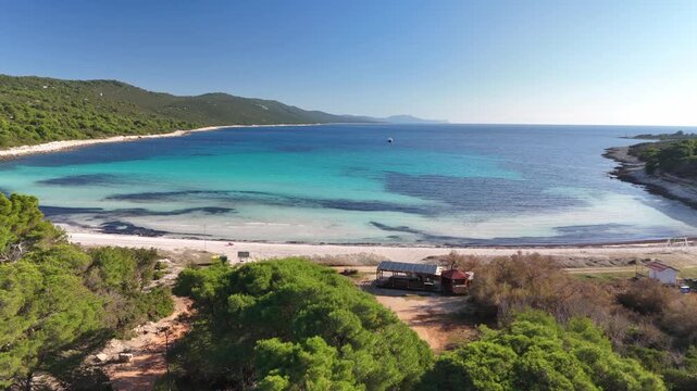 Drone rises above pine trees to reveal the stunning turquoise waters of Sakarun Beach on Dugi Otok, Croatia. A sunny Adriatic scene of clear blue sea and peaceful nature.