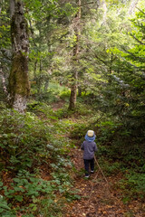 Un enfant de dos se prom&egrave;ne en for&ecirc;t en tirant une branche derri&egrave;re lui.