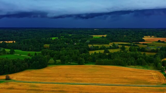 Yellow agricultural fields under dramatic pre-storm sky with Shelf Cloud