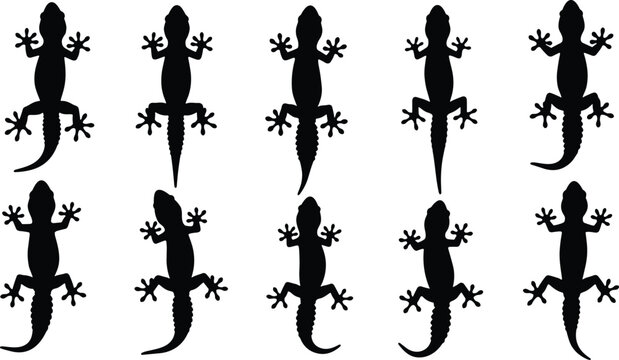Set of ten black gecko silhouettes in two rows