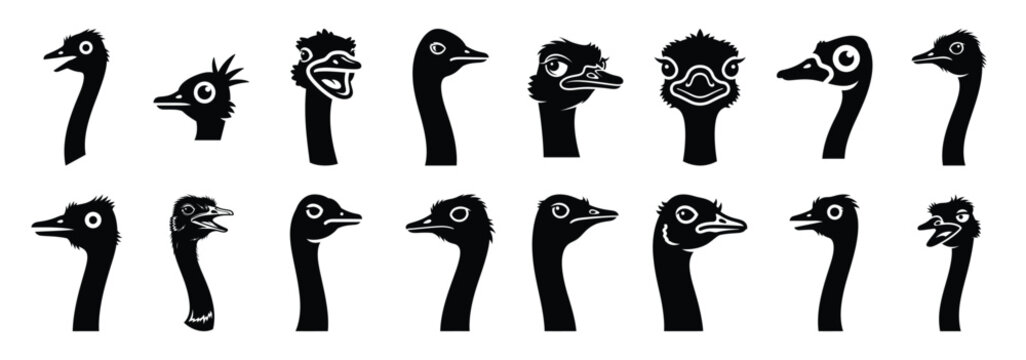Set of vector funny ostrich head  icon in silhouettes