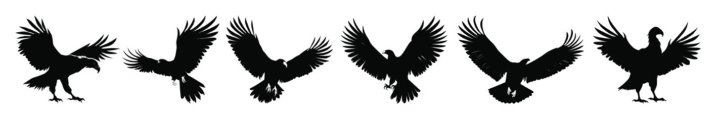 Obraz premium flying vulture beak black silhouettes set big griffon