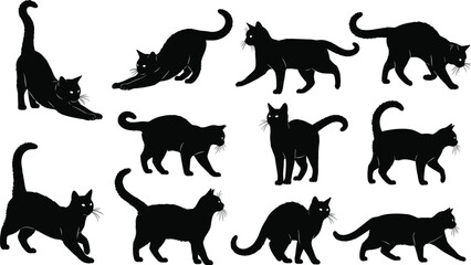 Collection of black cat silhouette poses showing stretching, walking, standing, and playful actions for animal illustration, pet design, and decoration