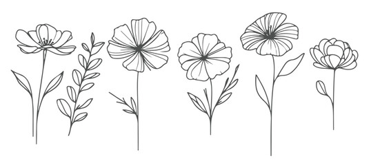 hand drawn botanical line art flowers collection © ullpag