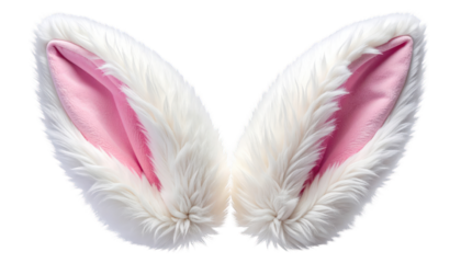 Fluffy white rabbit ears with pink inner lining against a black background