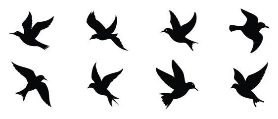 Fototapeta premium Flying bird silhouettes collection isolated on white background