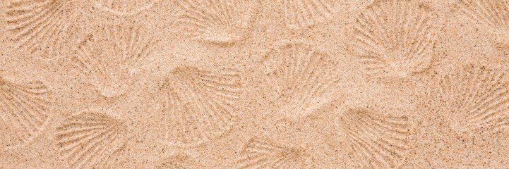 Pattern of sea shell shape prints on dry light brown sand background. Closeup. Wide banner. Top down view.