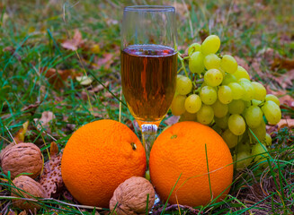 closeup white wine glass in grass  with nuts and fruits among forest glade © Yuriy Kulik