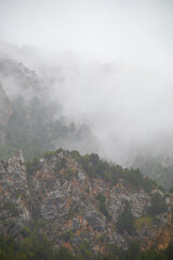 Atmospheric view of rugged rock formations and green trees shrouded in thick white fog on a rainy day in the mountains.