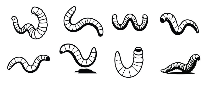 earthworms in various natural poses illustration showing
