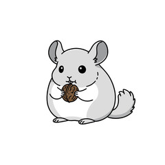 Cute cartoon chinchilla holding and eating a walnut, full-body illustration with big eyes and fluffy tail on white background